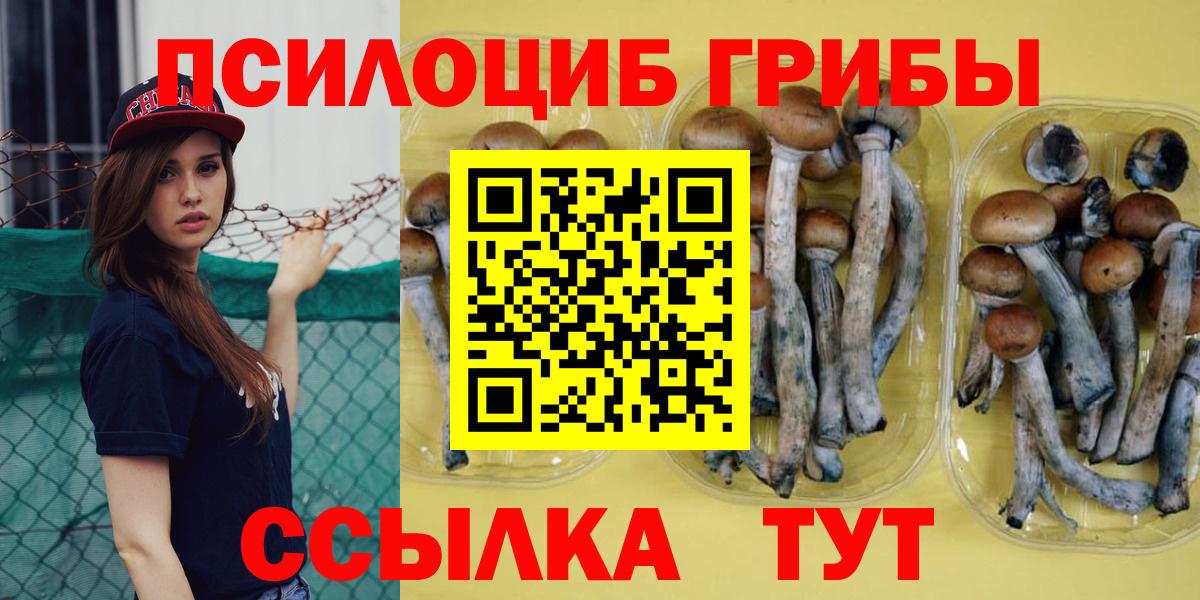 Псилоцибиновые грибы мицелий  Вход с VPN  Обь 